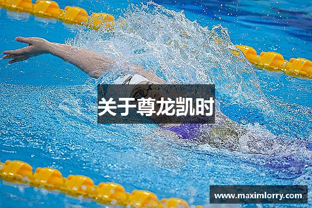 关于尊龙凯时