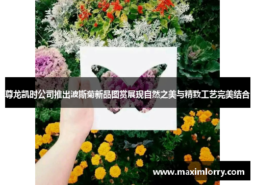 尊龙凯时公司推出波斯菊新品图赏展现自然之美与精致工艺完美结合