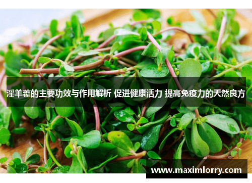 淫羊藿的主要功效与作用解析 促进健康活力 提高免疫力的天然良方
