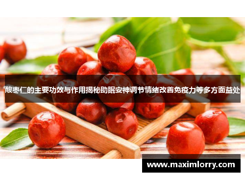 酸枣仁的主要功效与作用揭秘助眠安神调节情绪改善免疫力等多方面益处