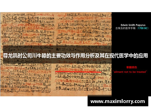 尊龙凯时公司川牛膝的主要功效与作用分析及其在现代医学中的应用